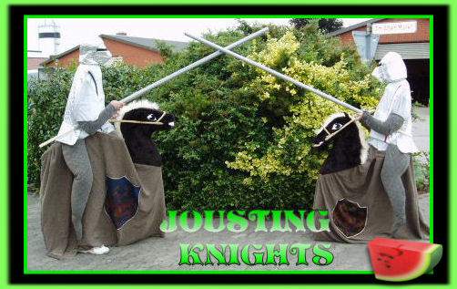 Zany Knights Jousting